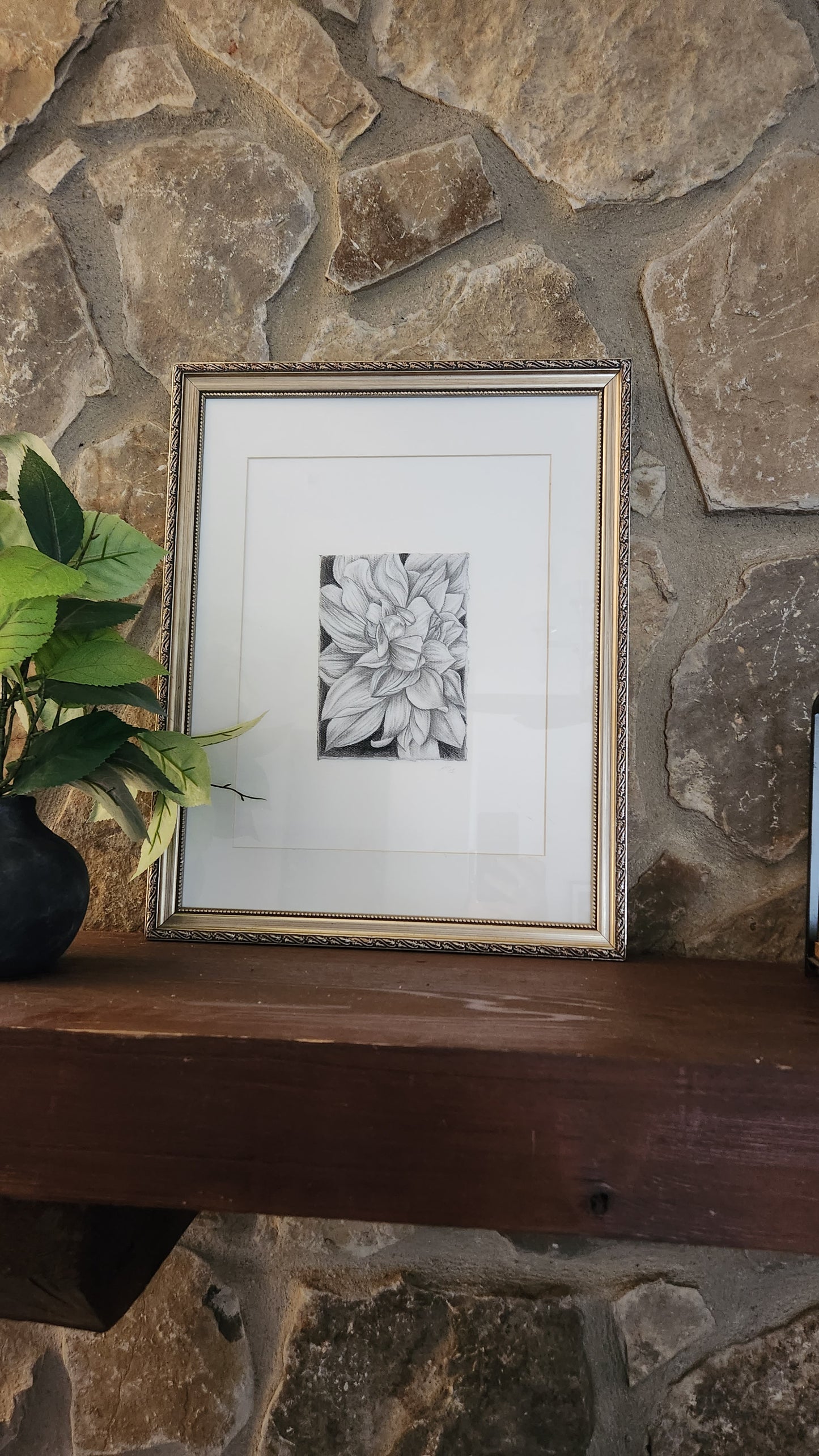 Dahlias chorale drawing