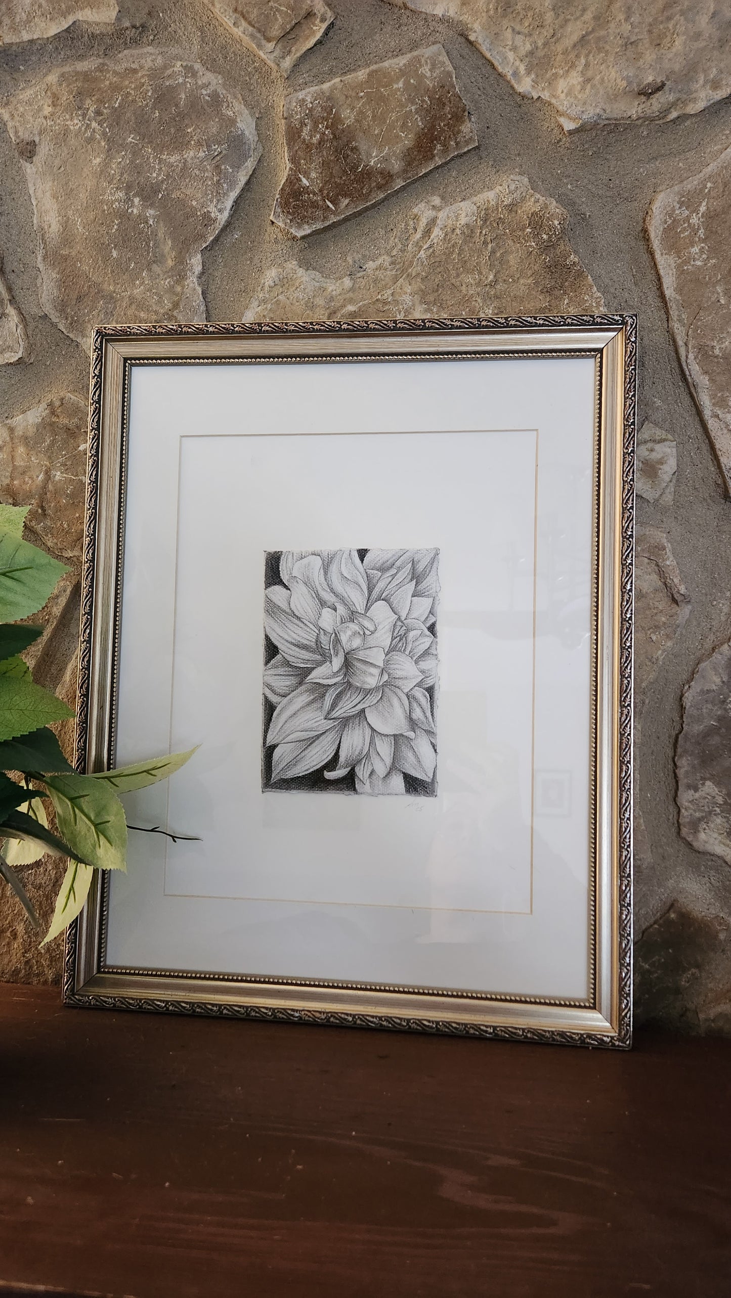 Dahlias chorale drawing