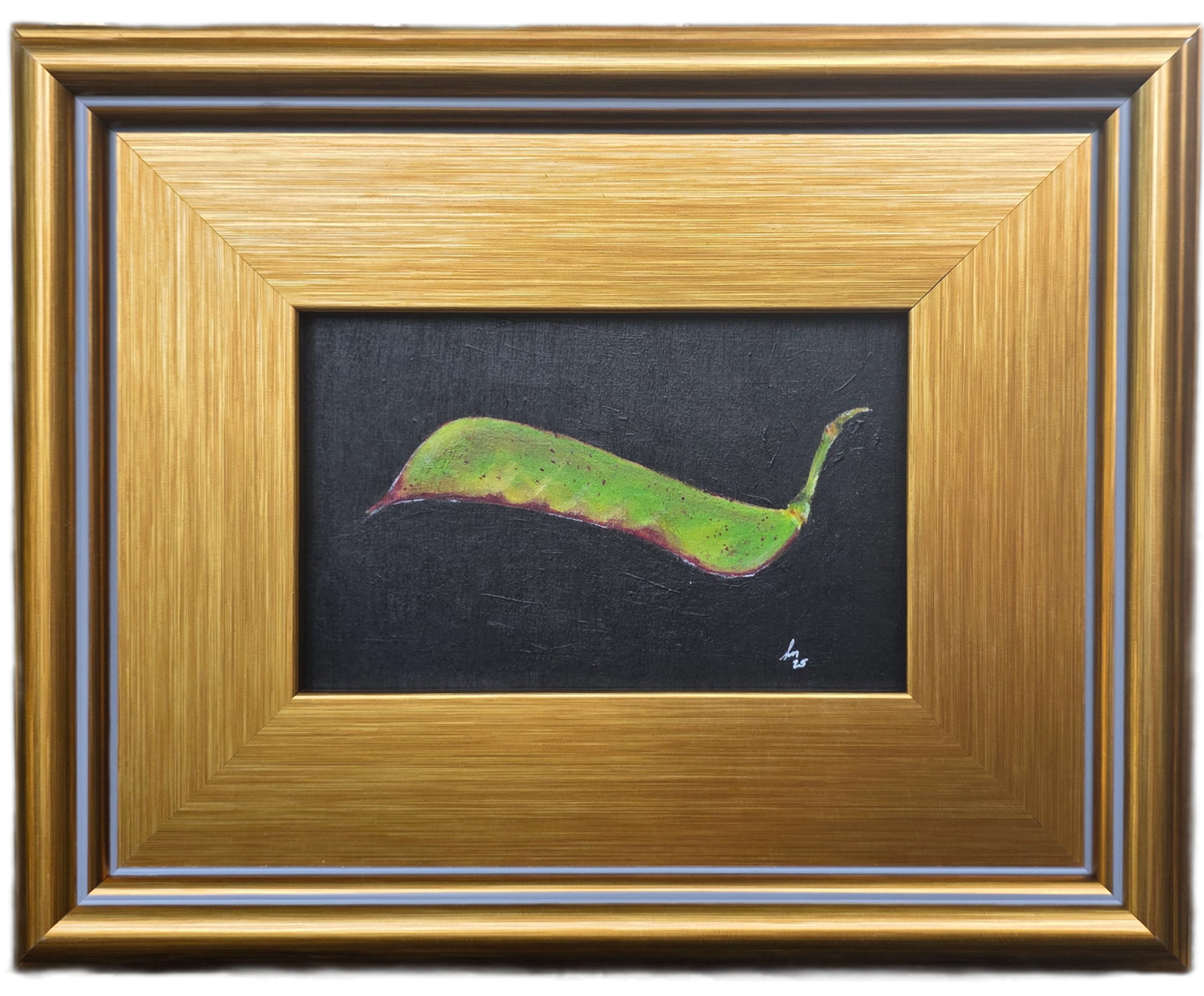 Desert Bird of Paradise Seed – Original Oil Painting