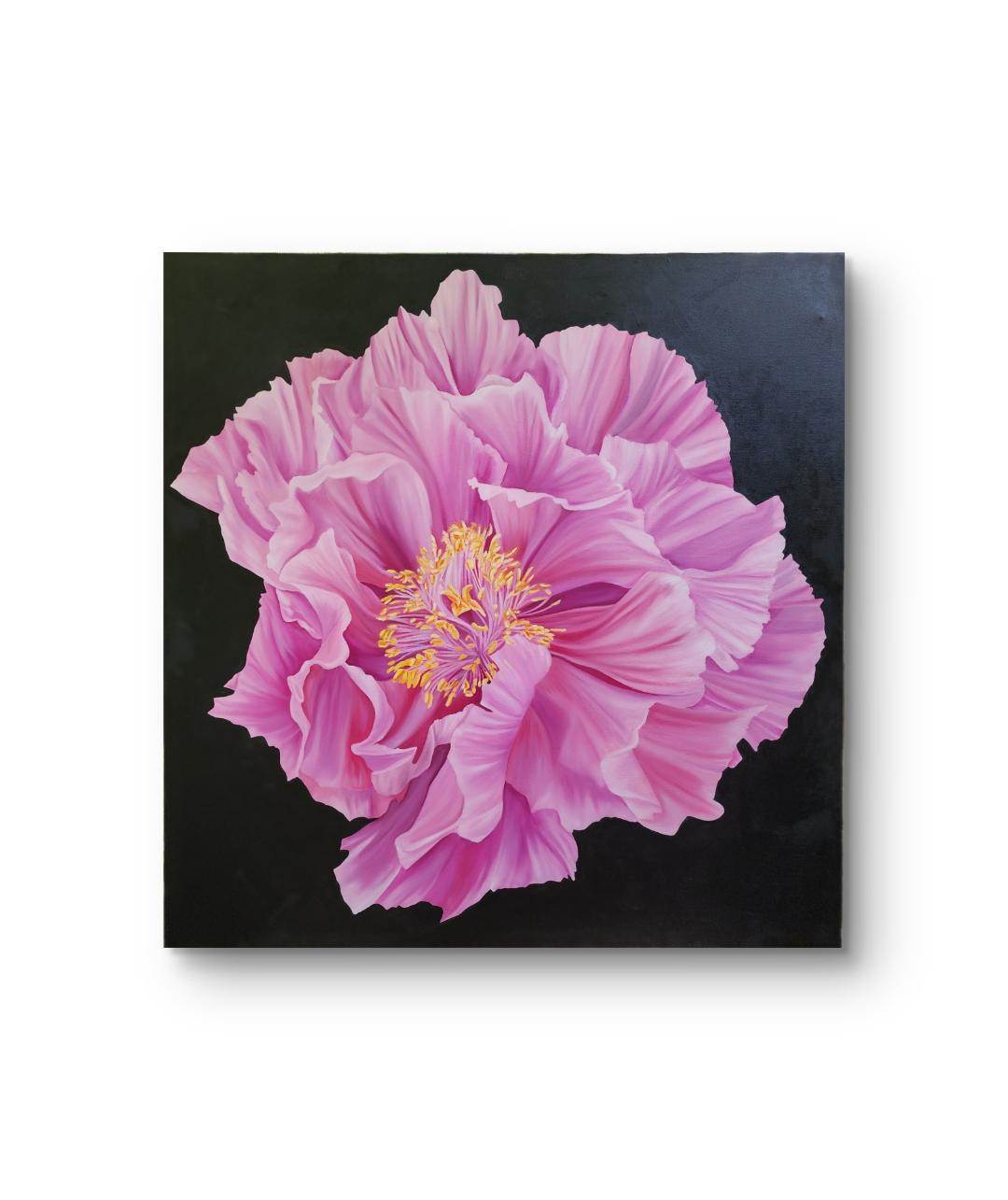 Pink Peony (Awaiting Official Title)