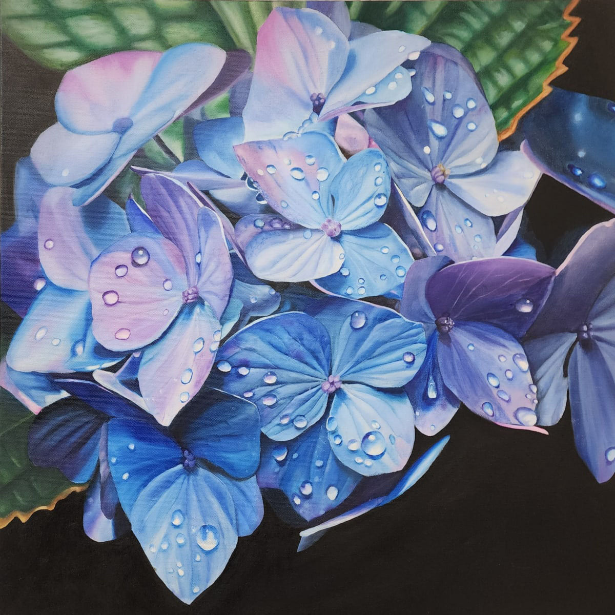 Artistic depiction of blue and purple flowers with water droplets on a dark background