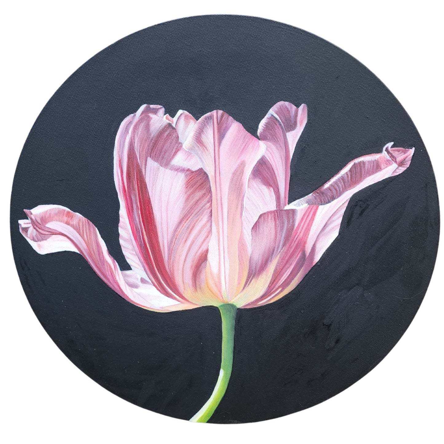 Tulip 12" round