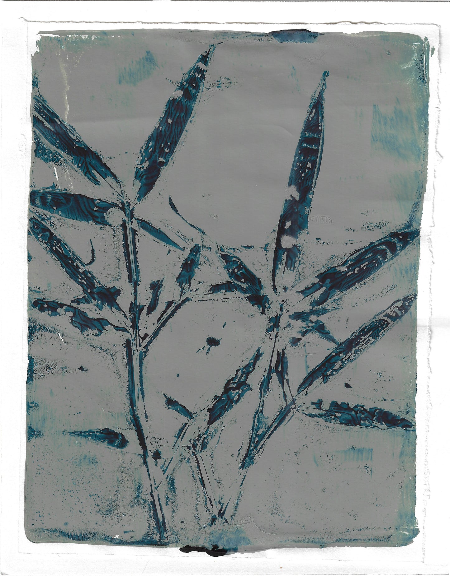 Bamboo Meditations