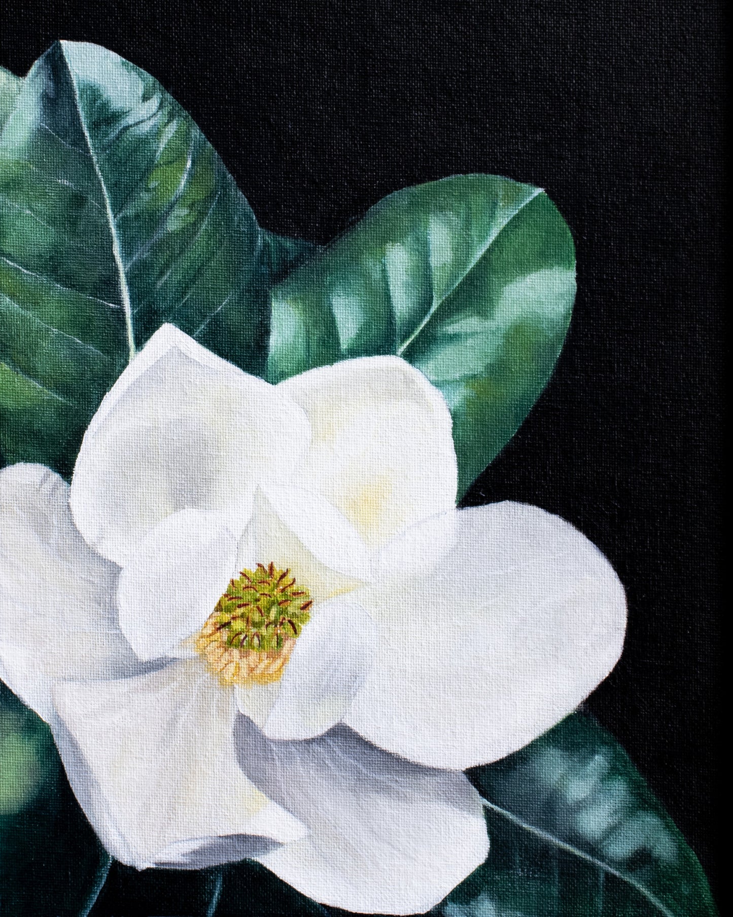 Magnolia Prints