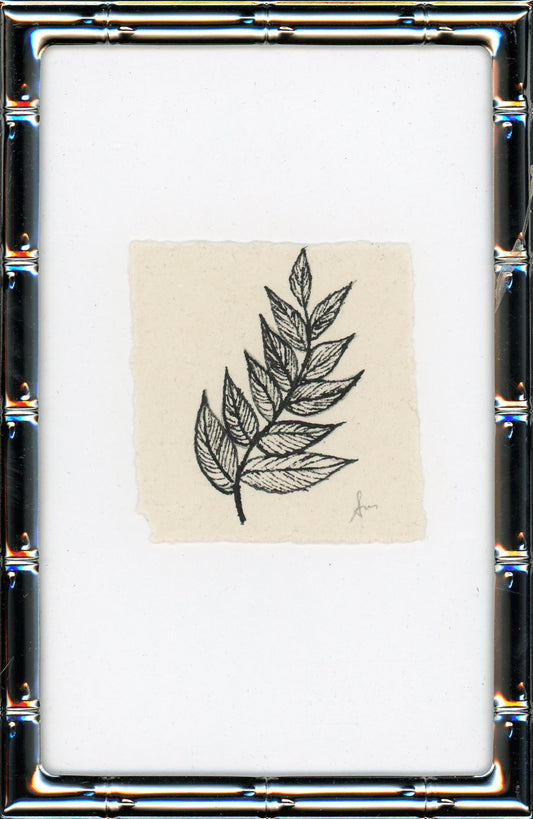 Fern III