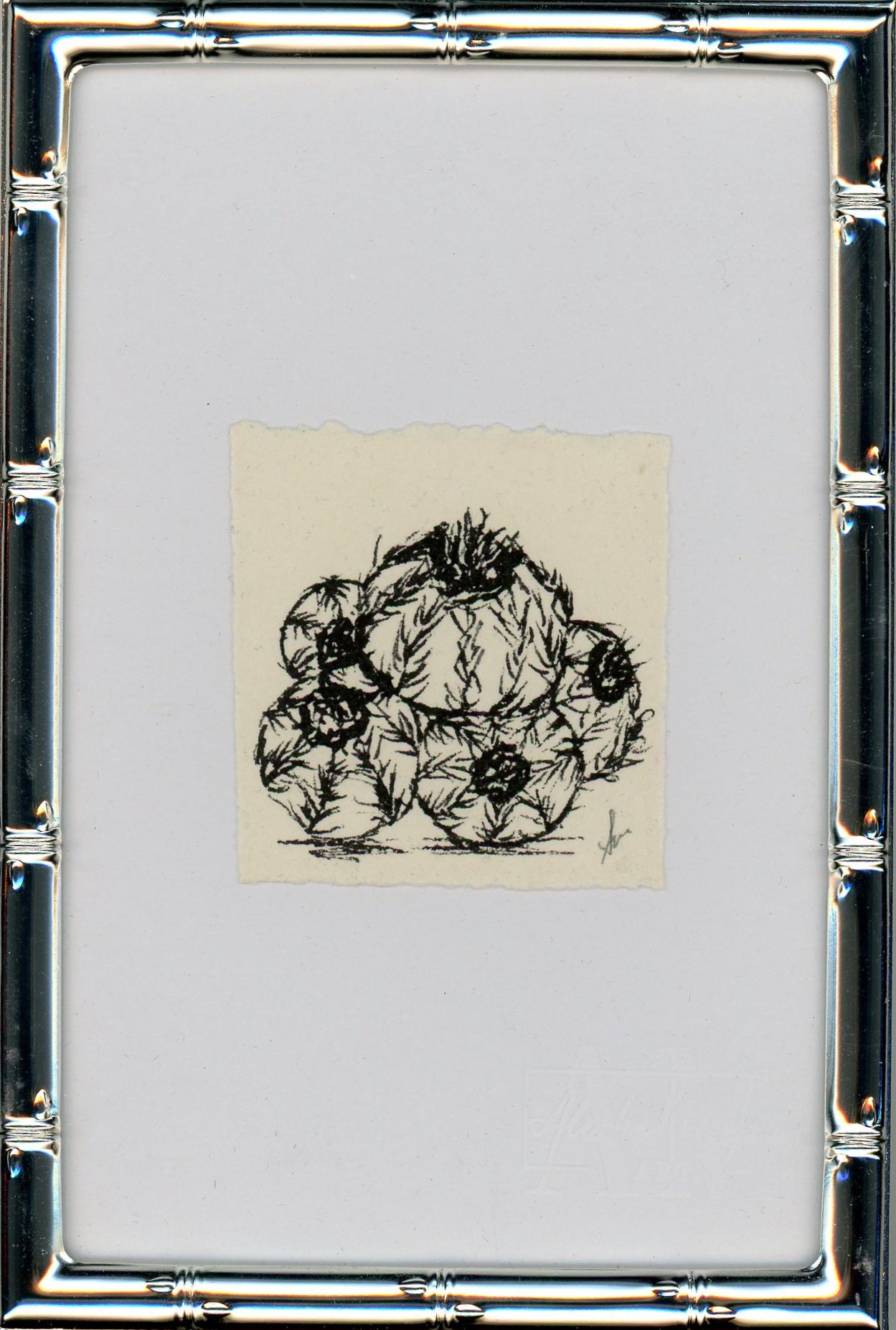 Cactus III