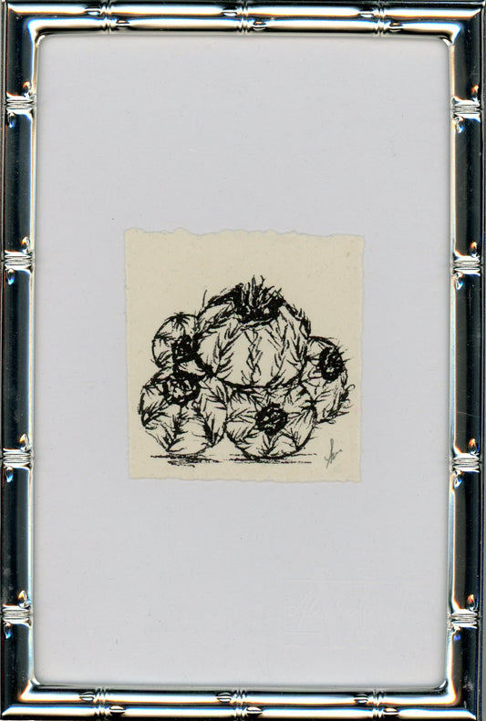 Cactus III