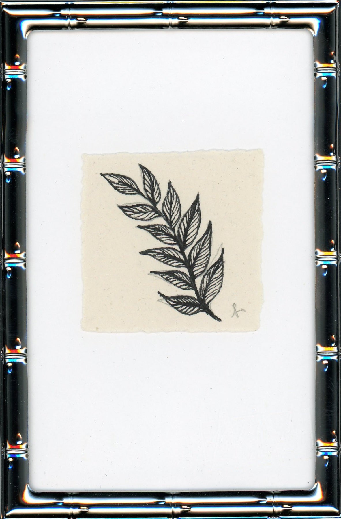 Fern II