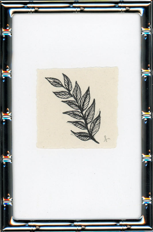 Fern II