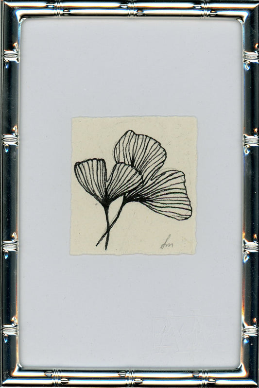 Ginkgo III