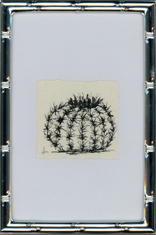 Cactus II