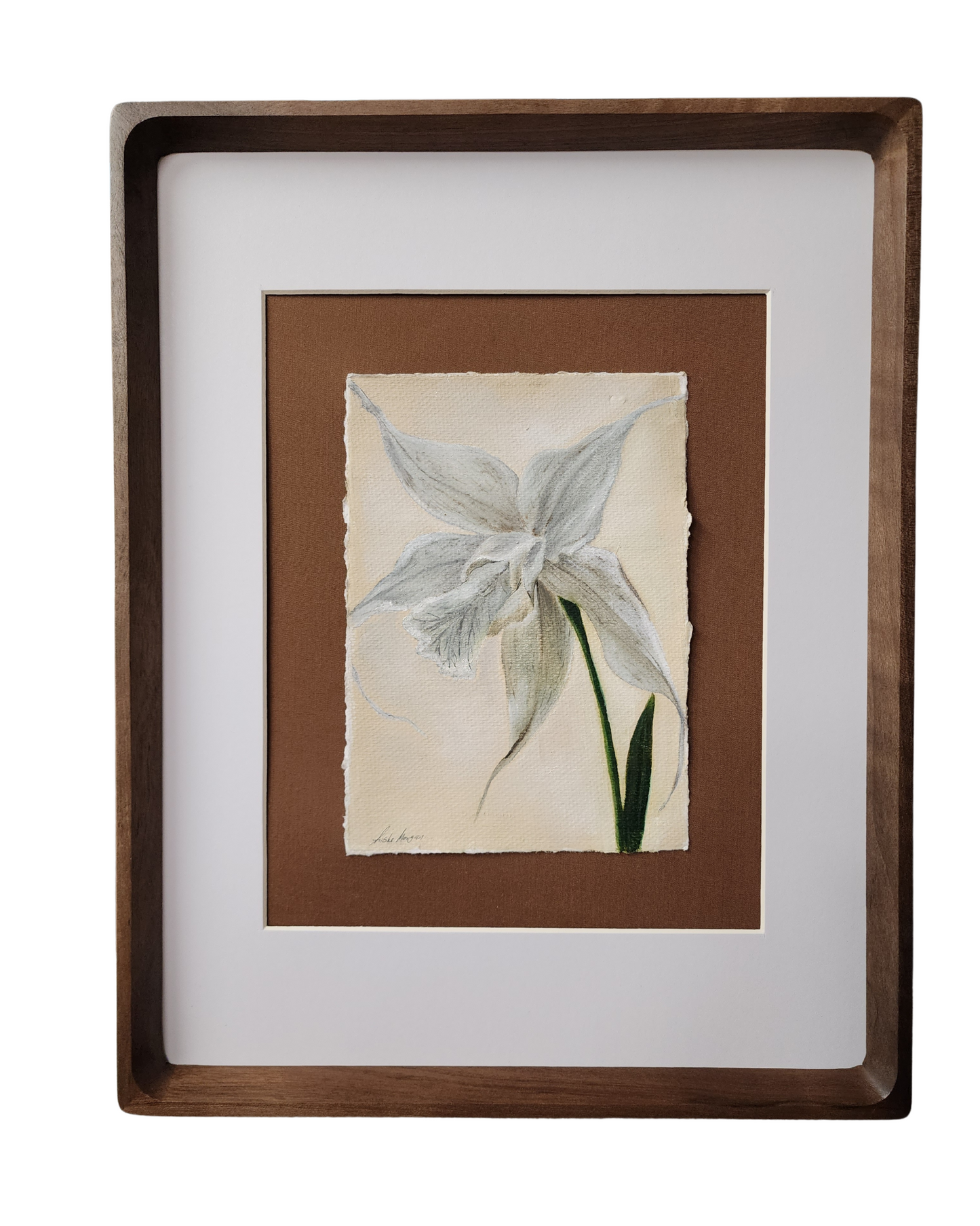 "Ghost Orchid" oil painting on cold pressed paper 5"x7"