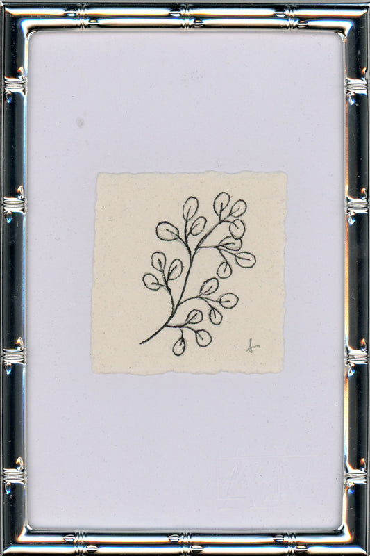 Leaves