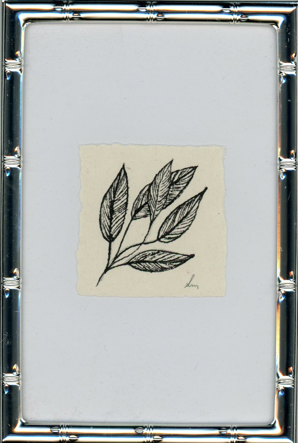 Leaves V