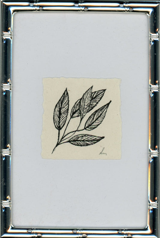 Leaves V