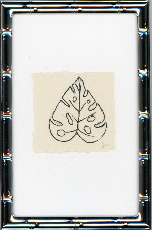 Monstera Leave II