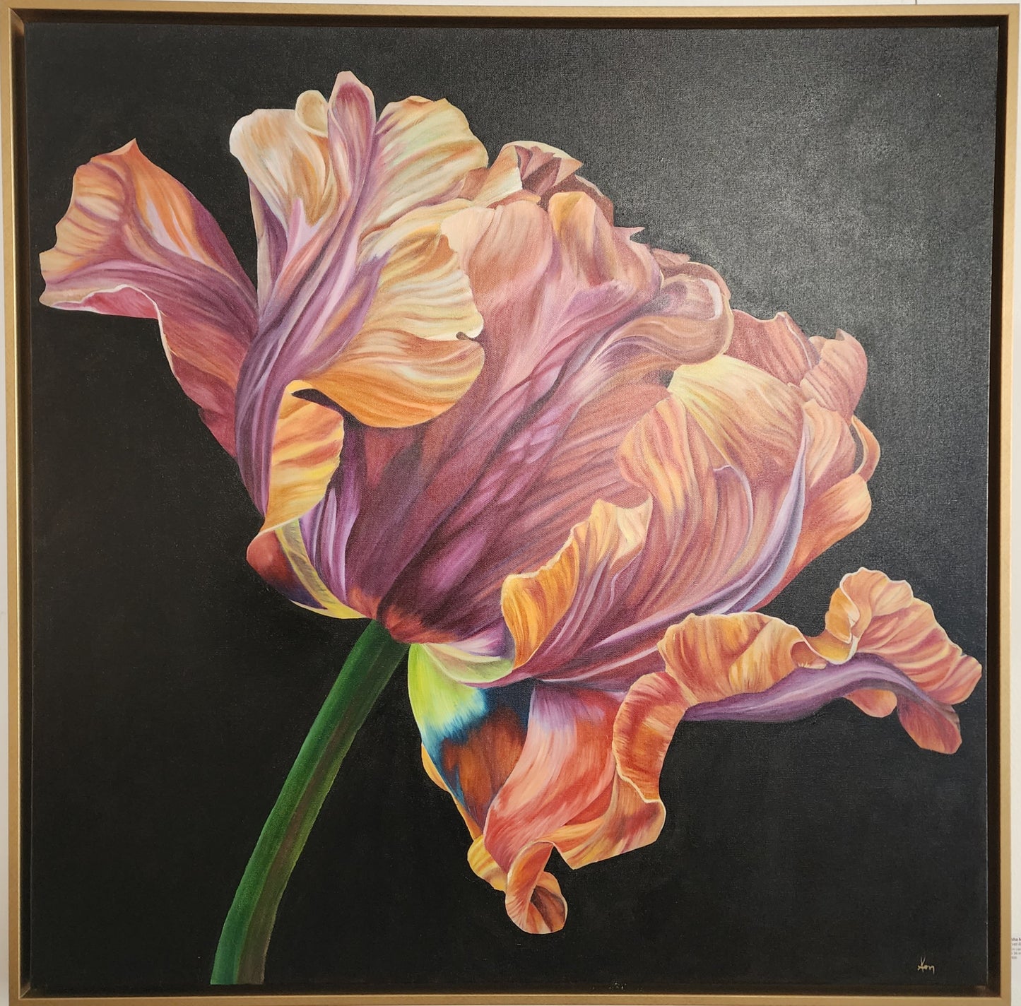 " Velvet Radiance " Tulip Oil Painting 36x 36
