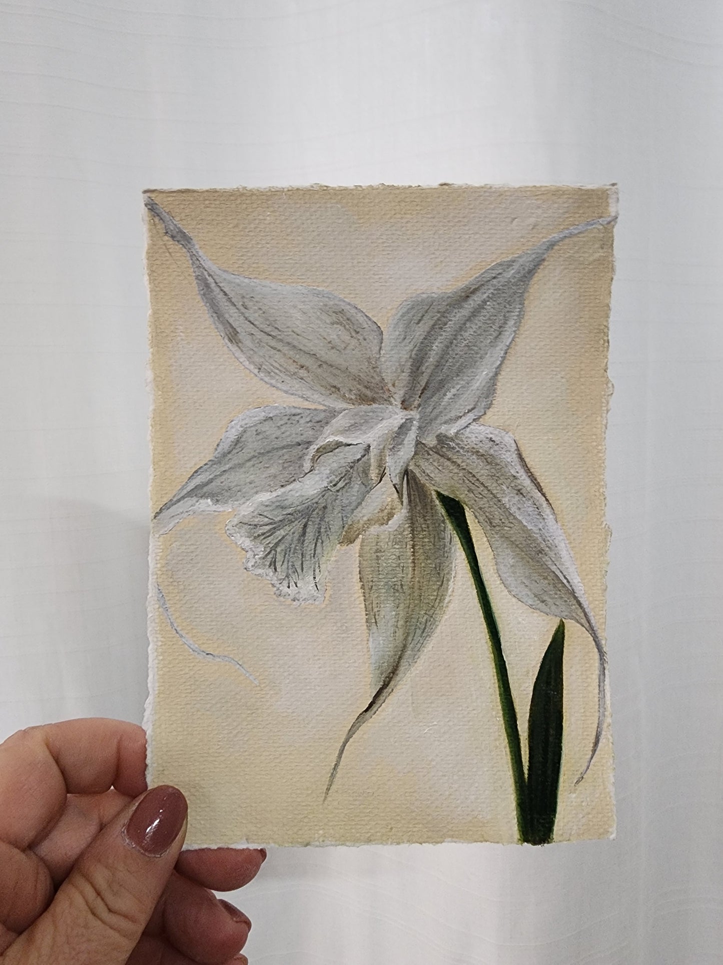 "Ghost Orchid" oil painting on cold pressed paper 5"x7"