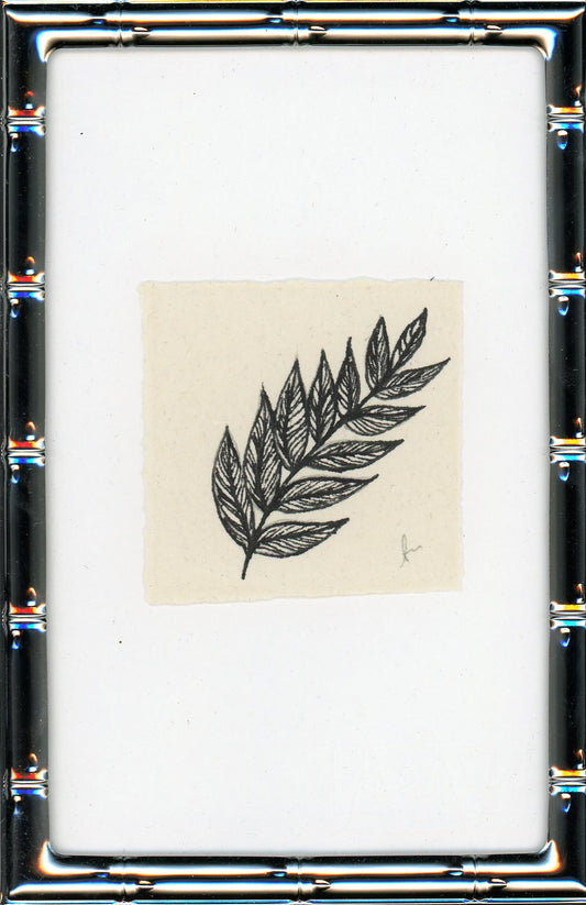 Fern IIII