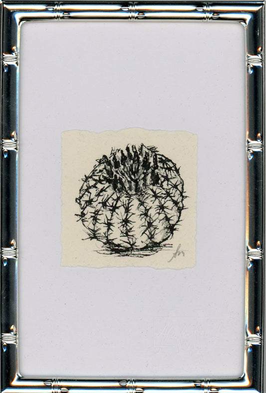 Cactus I