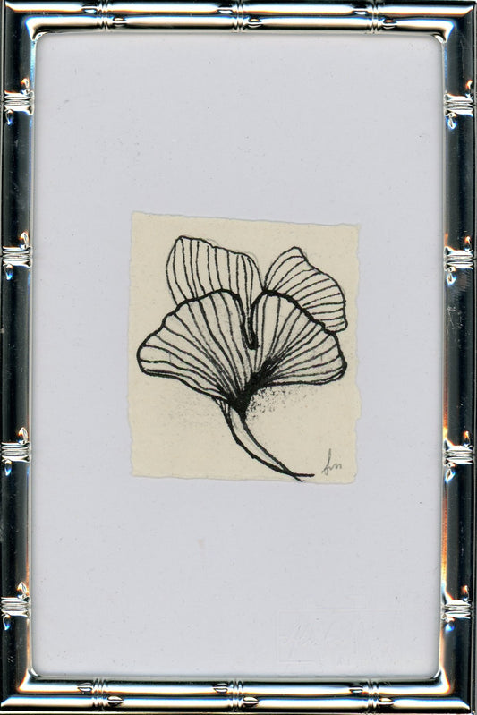 Ginkgo IIII