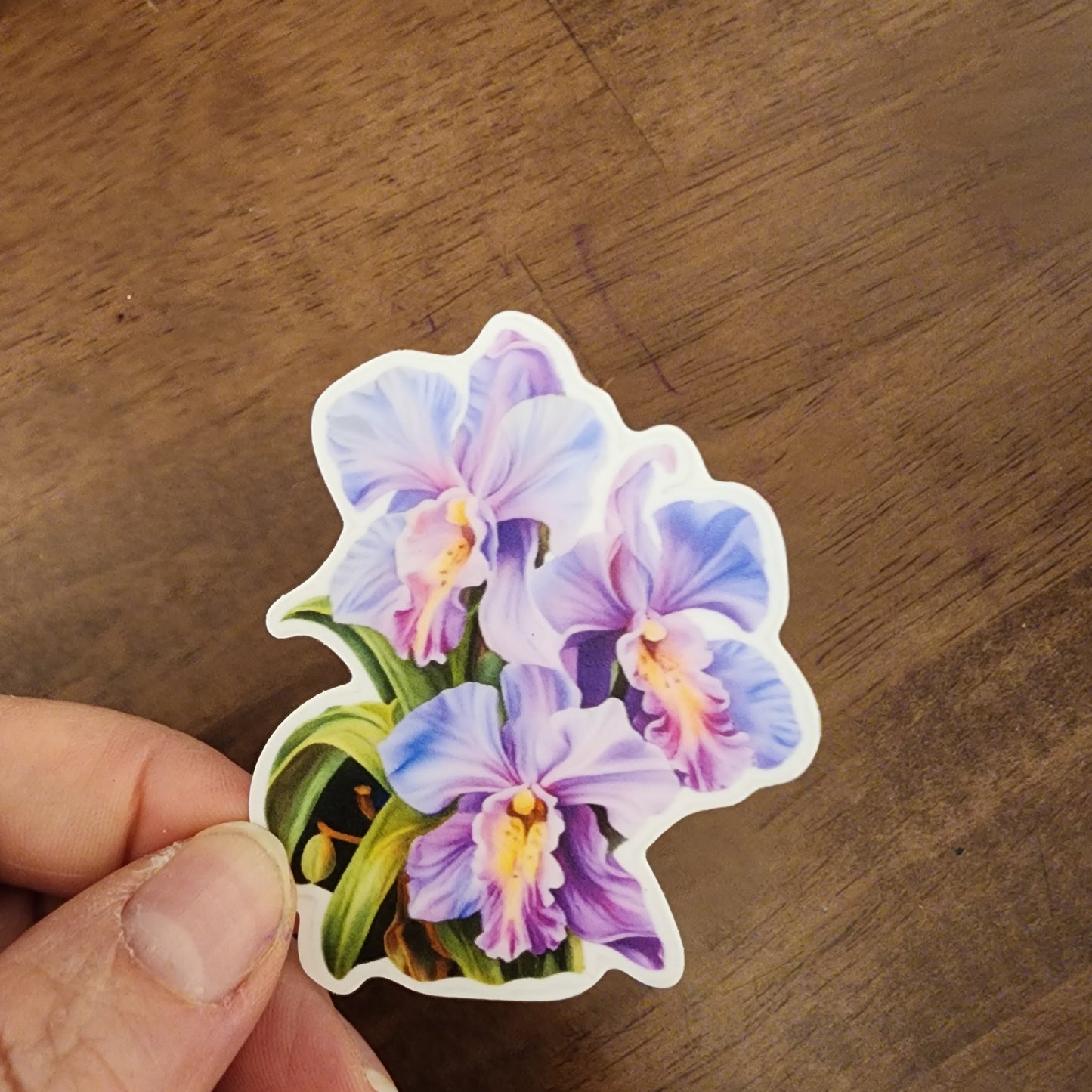 Set of 3 Floral Stickers — Refuse to Fade Collection
