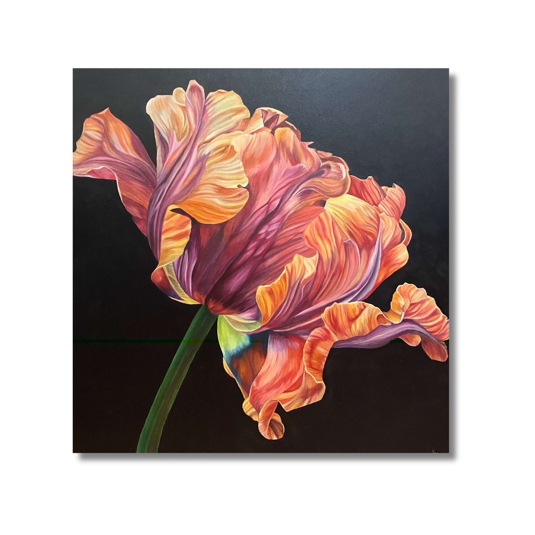 " Velvet Radiance " Tulip Oil Painting 36x 36
