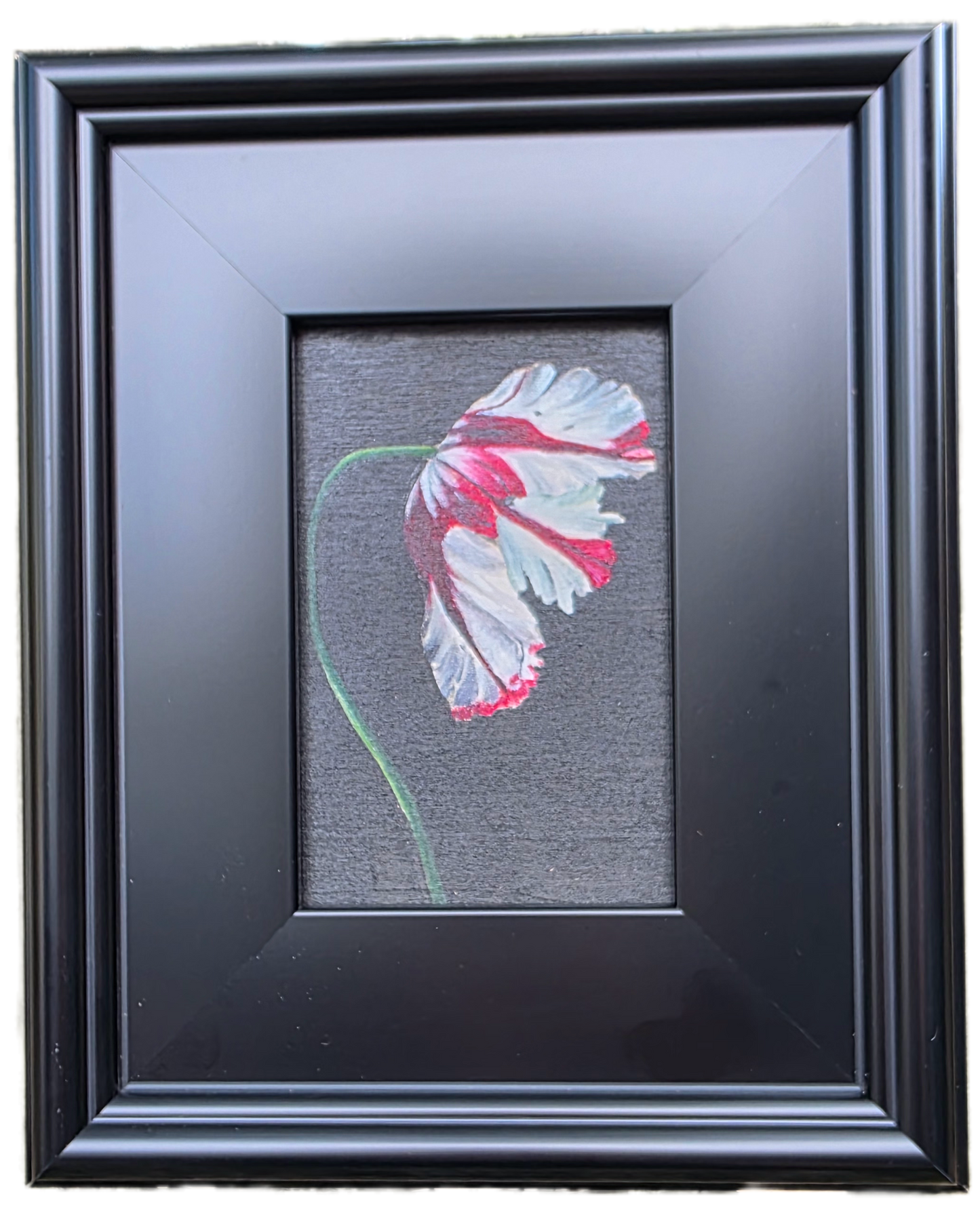 Parrot Tulip Study – Original Floral Oil Painting