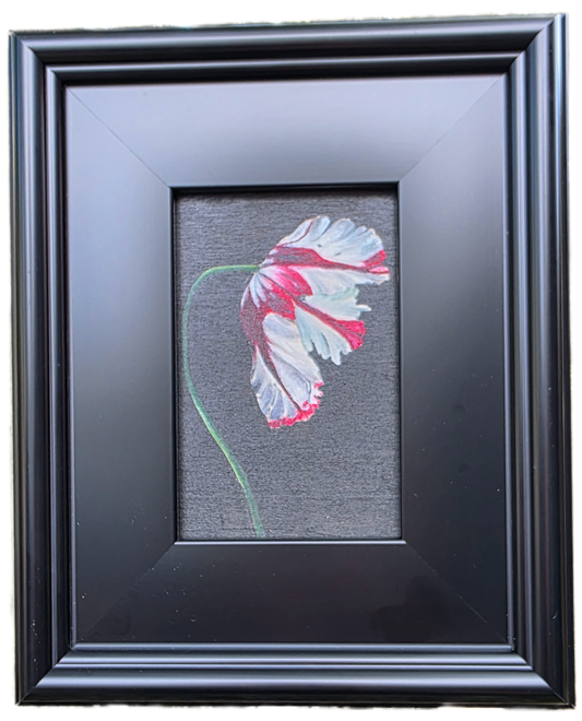 Parrot Tulip Study – Original Floral Oil Painting