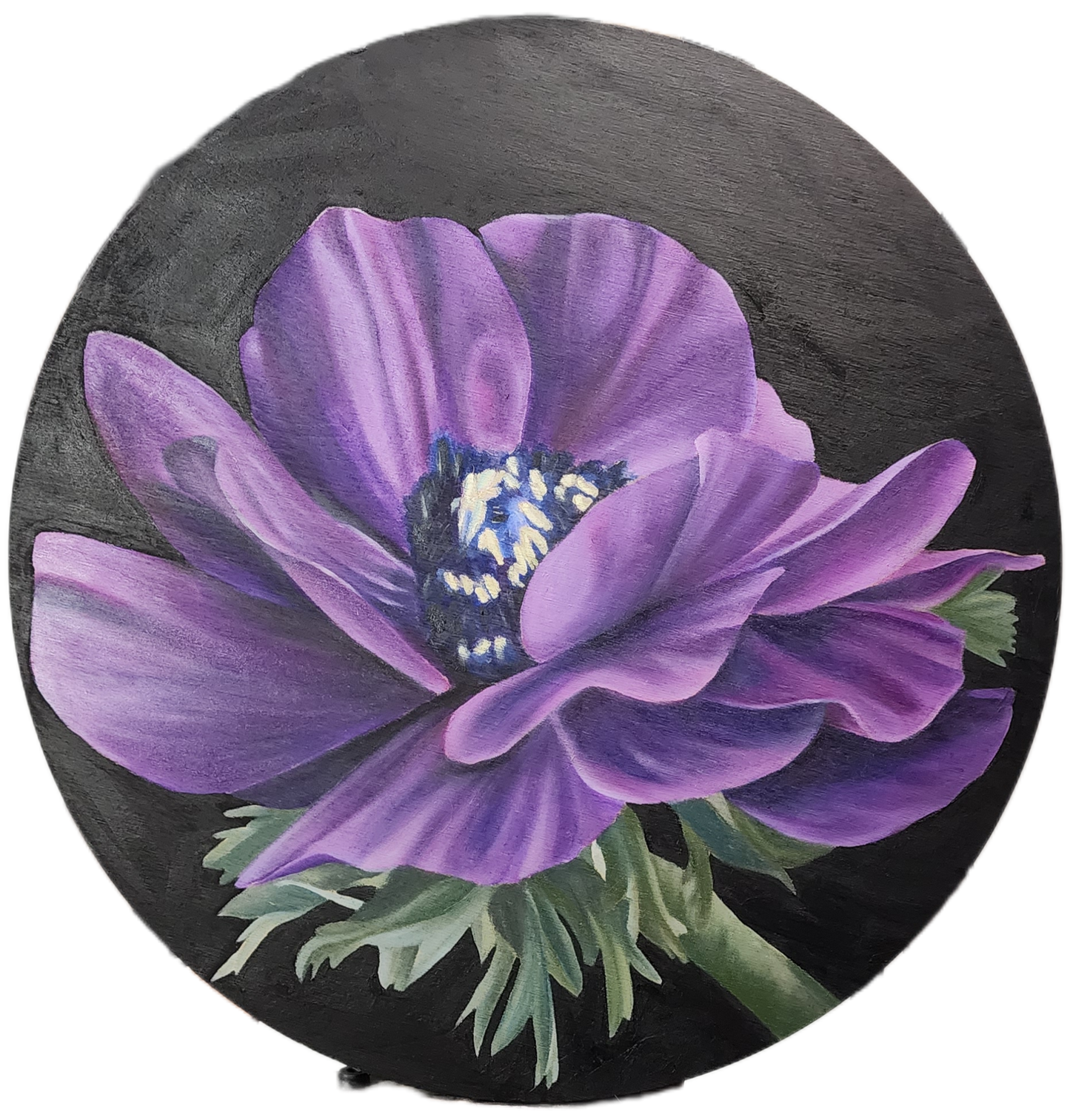 Purple Anemone (Awaiting Official Title)