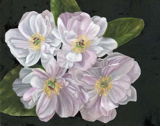 Four White Peonies (Awaiting Official Title)
