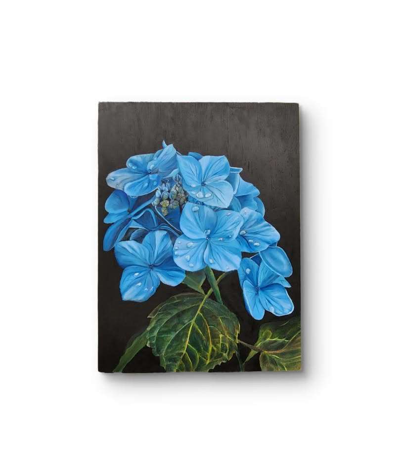 Blue Hydrangea (Awaiting Official Title)