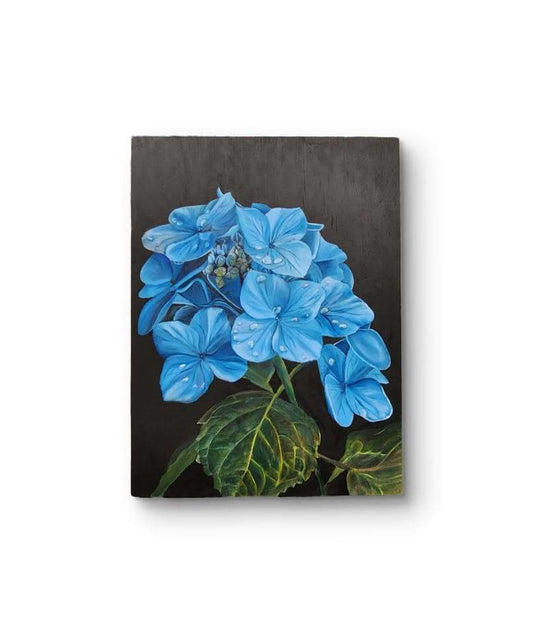 Blue Hydrangea (Awaiting Official Title)