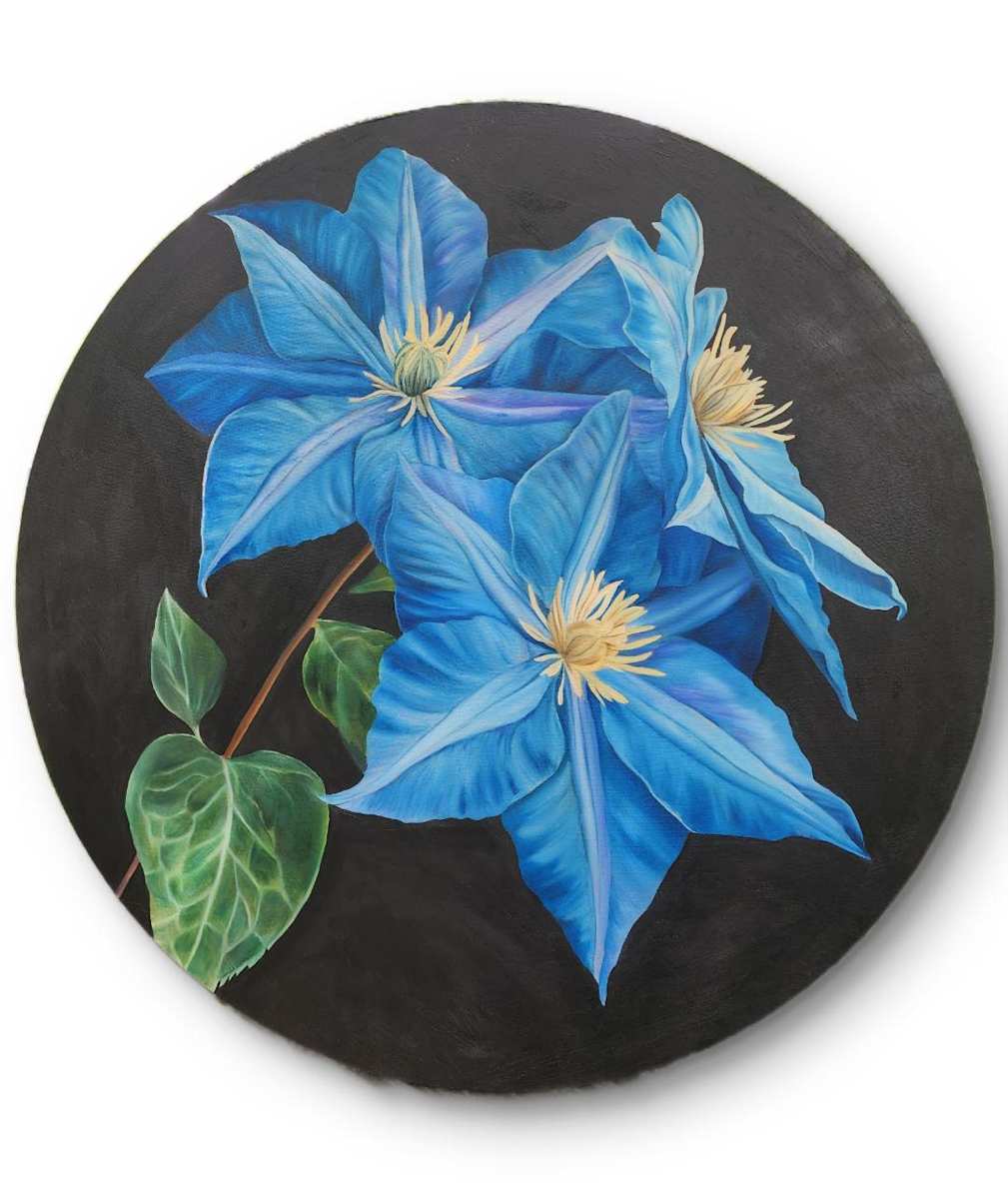 Blue Clematis (Awaiting Official Title)