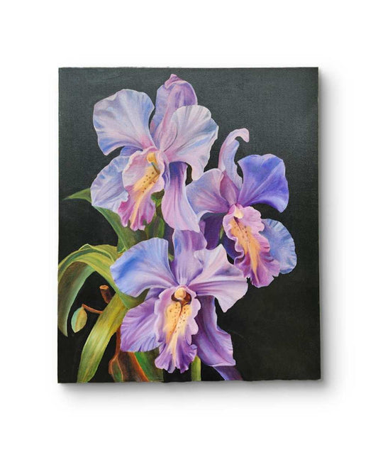 Orchid (Awaiting Official Title)