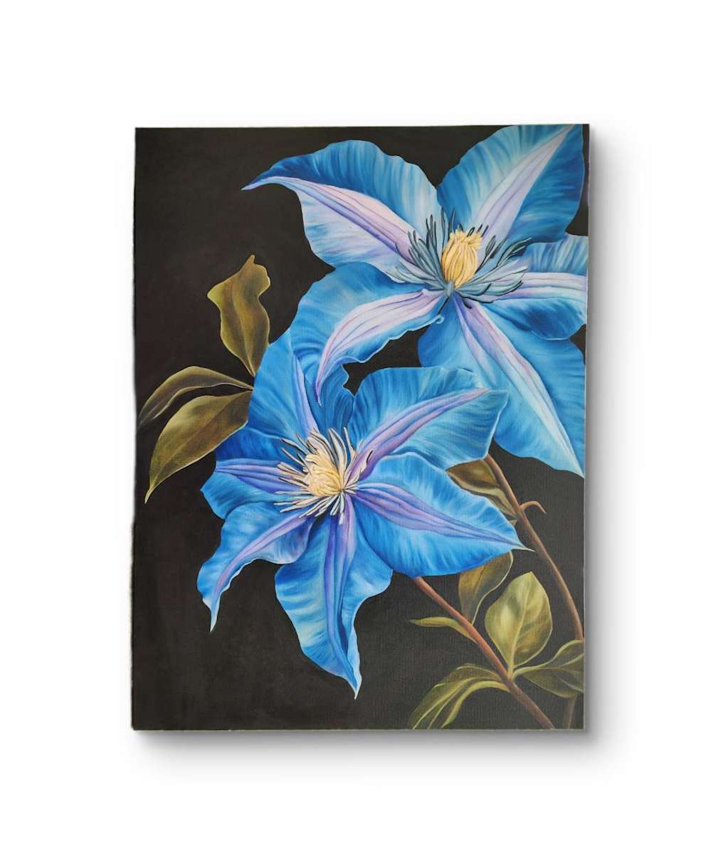 Blue Clematis (Awaiting Official Title)