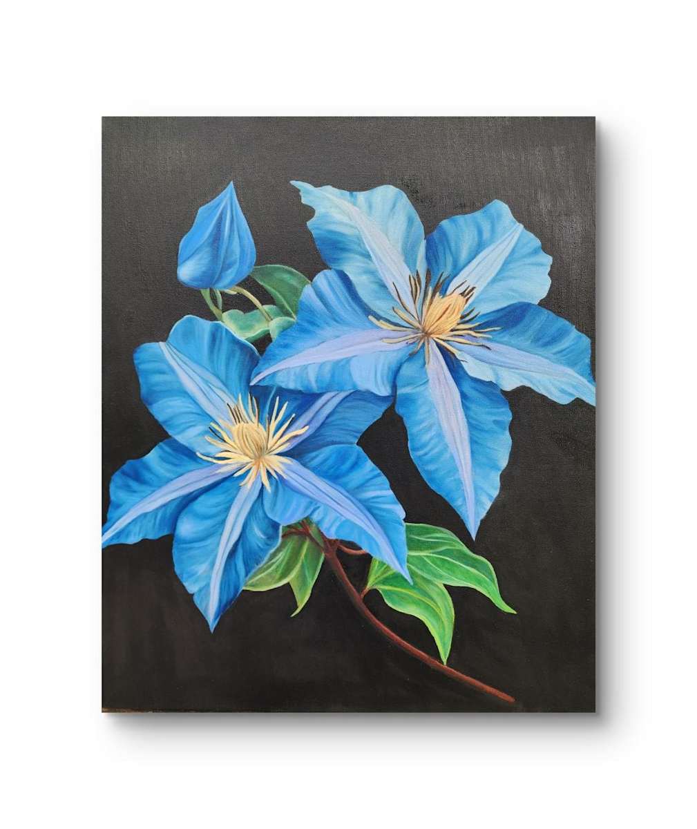 Blue Clematis (Awaiting Official Title)