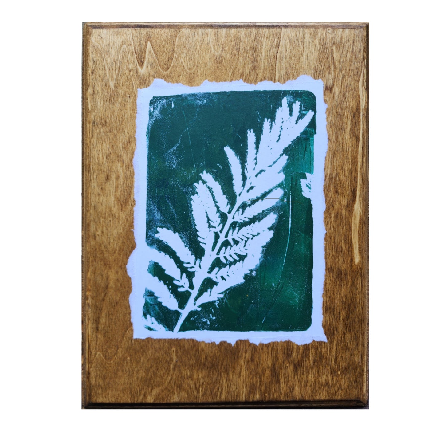 Desert Bird of Paradise I