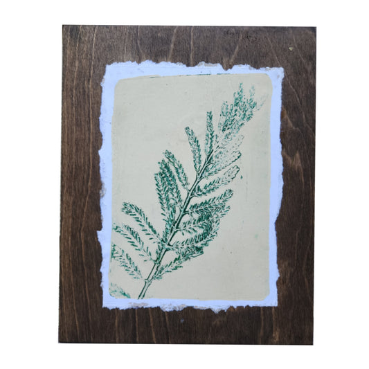 Desert Bird of Paradise IV