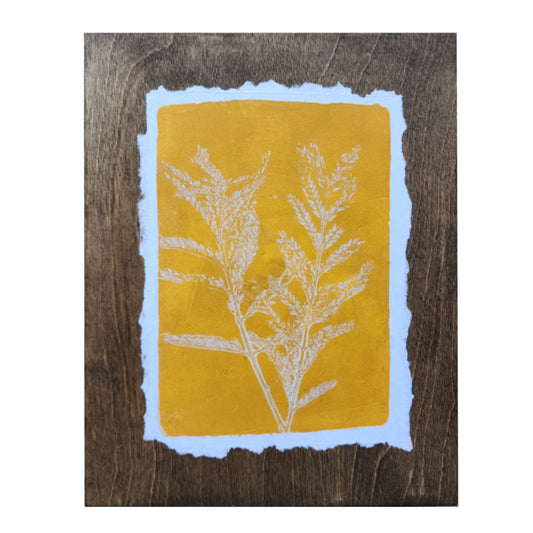 Desert Bird of Paradise V