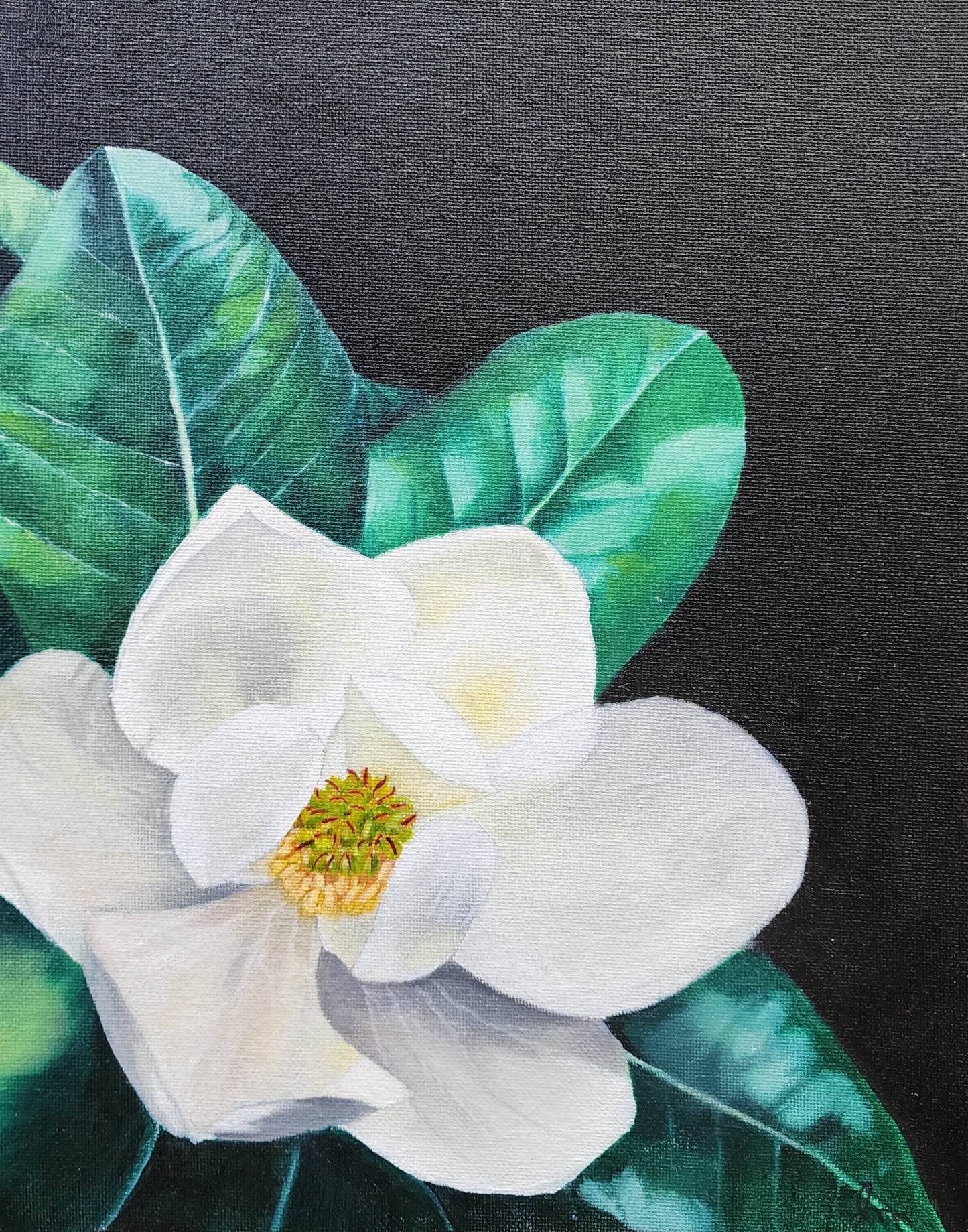 Magnolia - 9"x12"