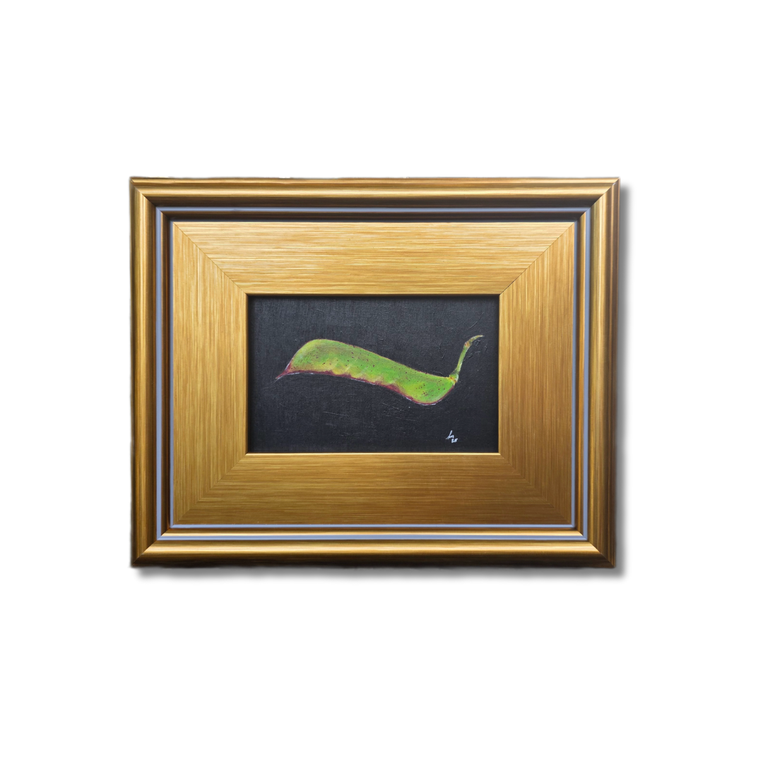 Desert Bird of Paradise Seed – Original Oil Painting