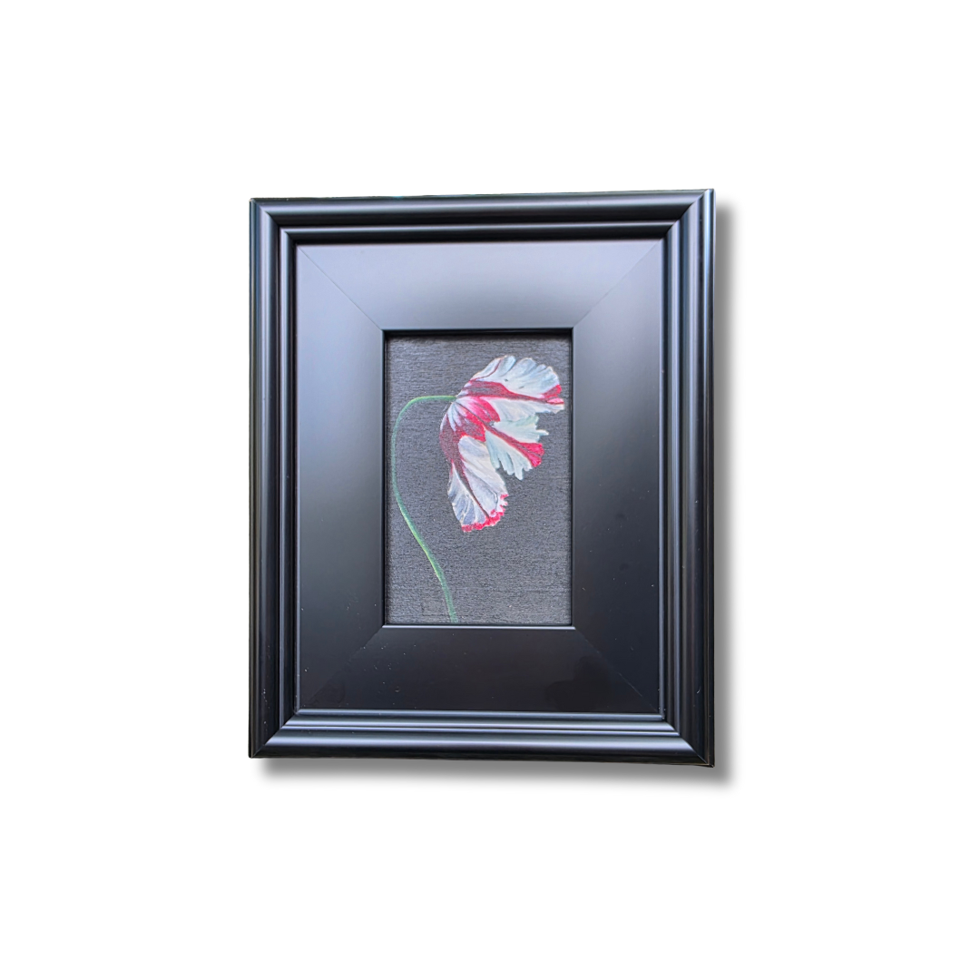 Parrot Tulip Study – Original Floral Oil Painting