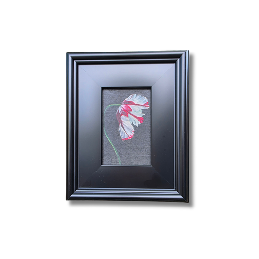 Parrot Tulip Study – Original Floral Oil Painting