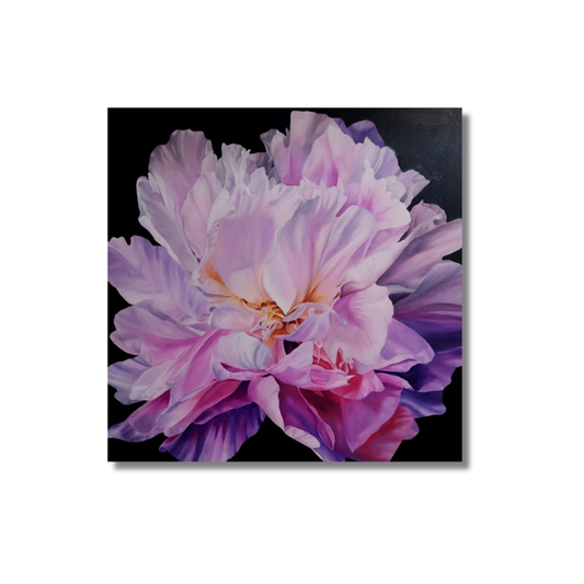 Peony - 36" x 36"