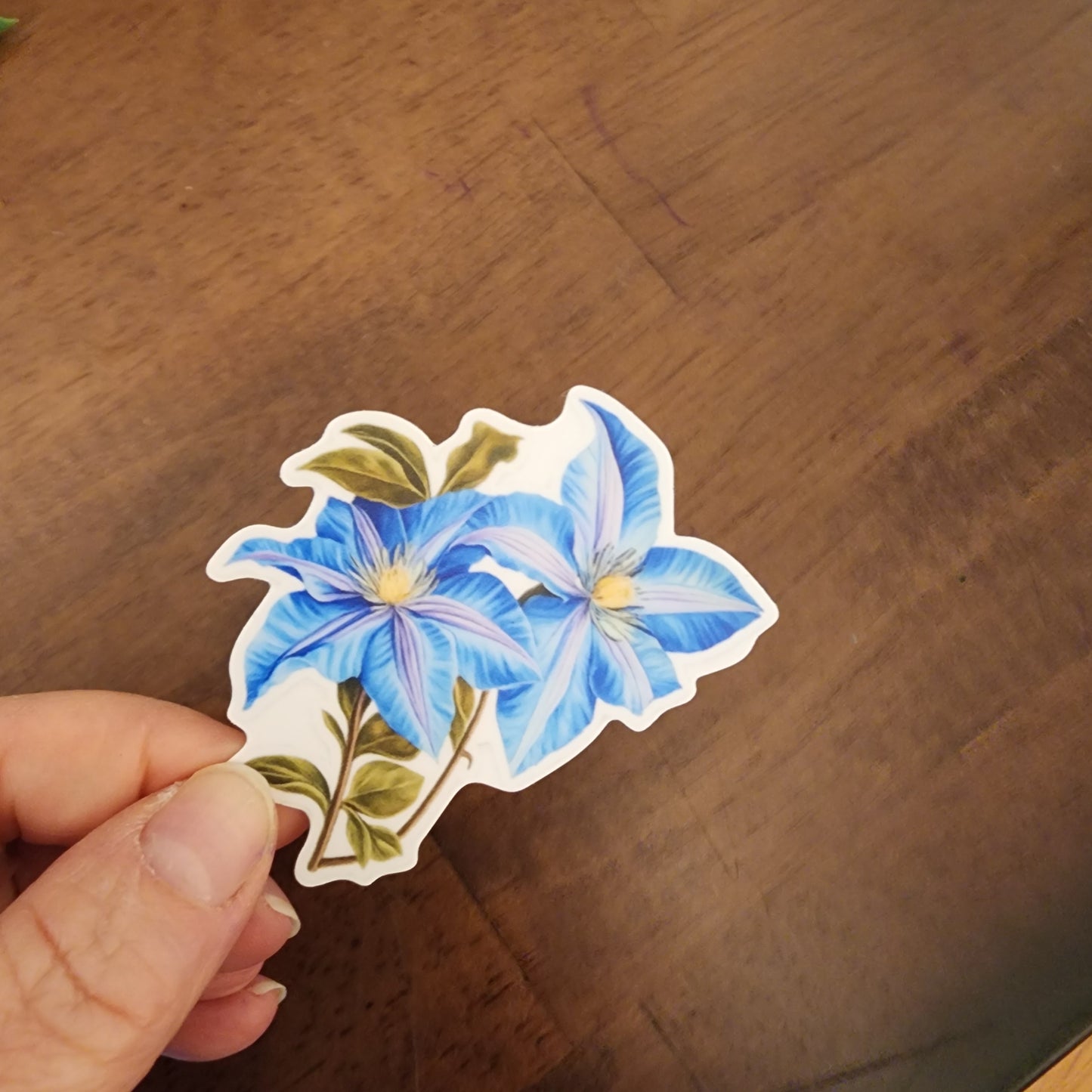 Set of 3 Floral Stickers — Refuse to Fade Collection