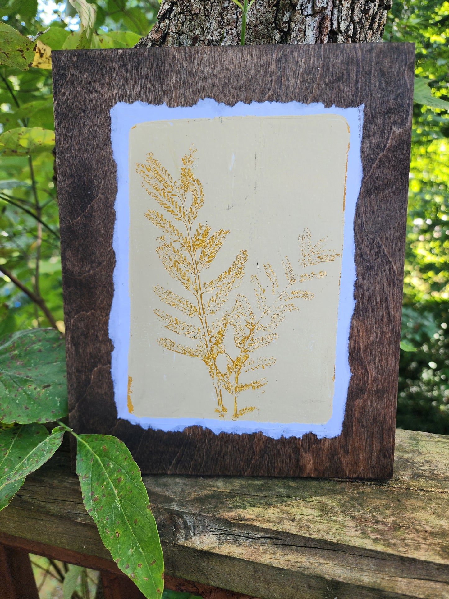 Desert Bird of Paradise III