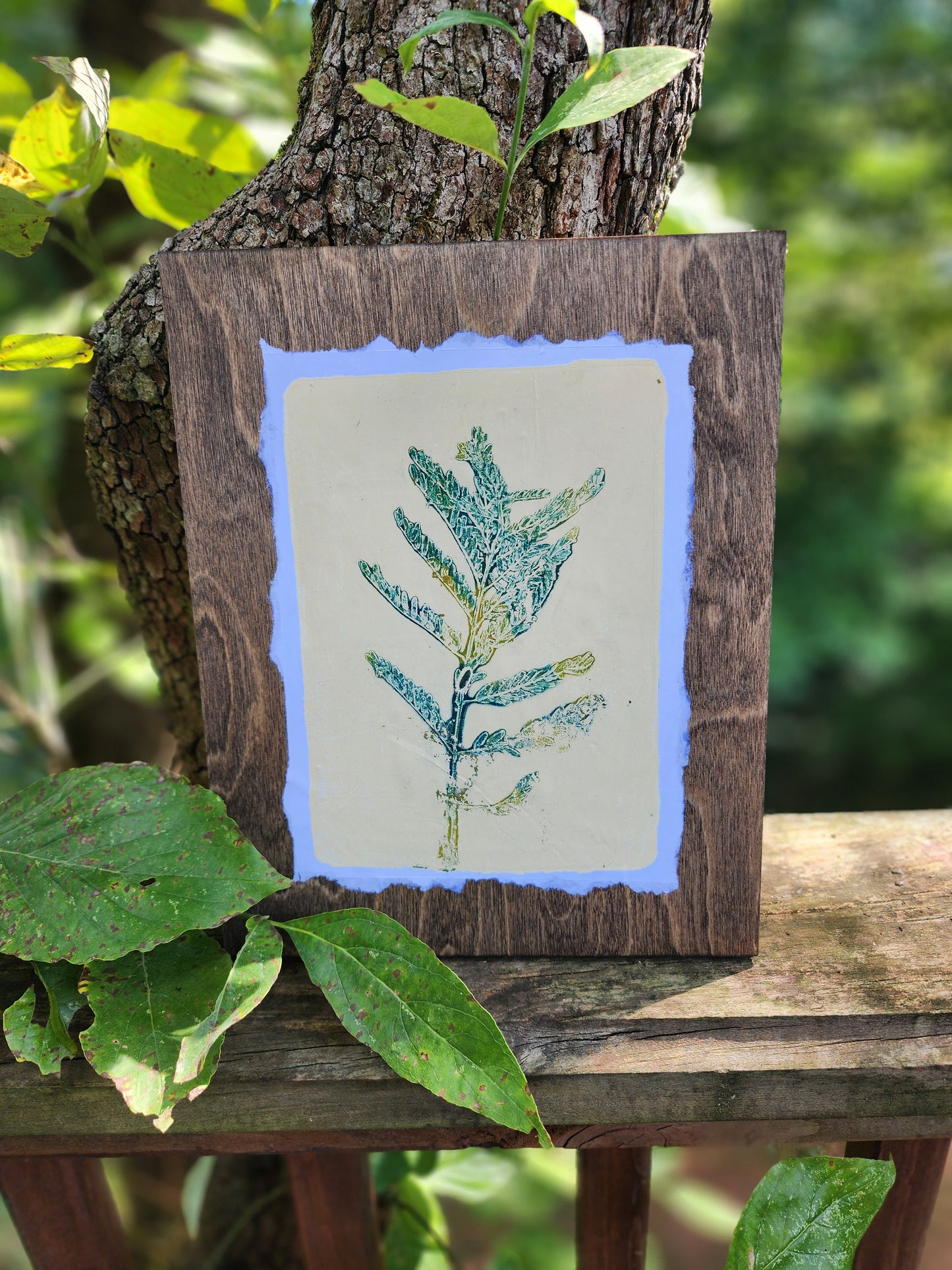 Desert Bird of Paradise II