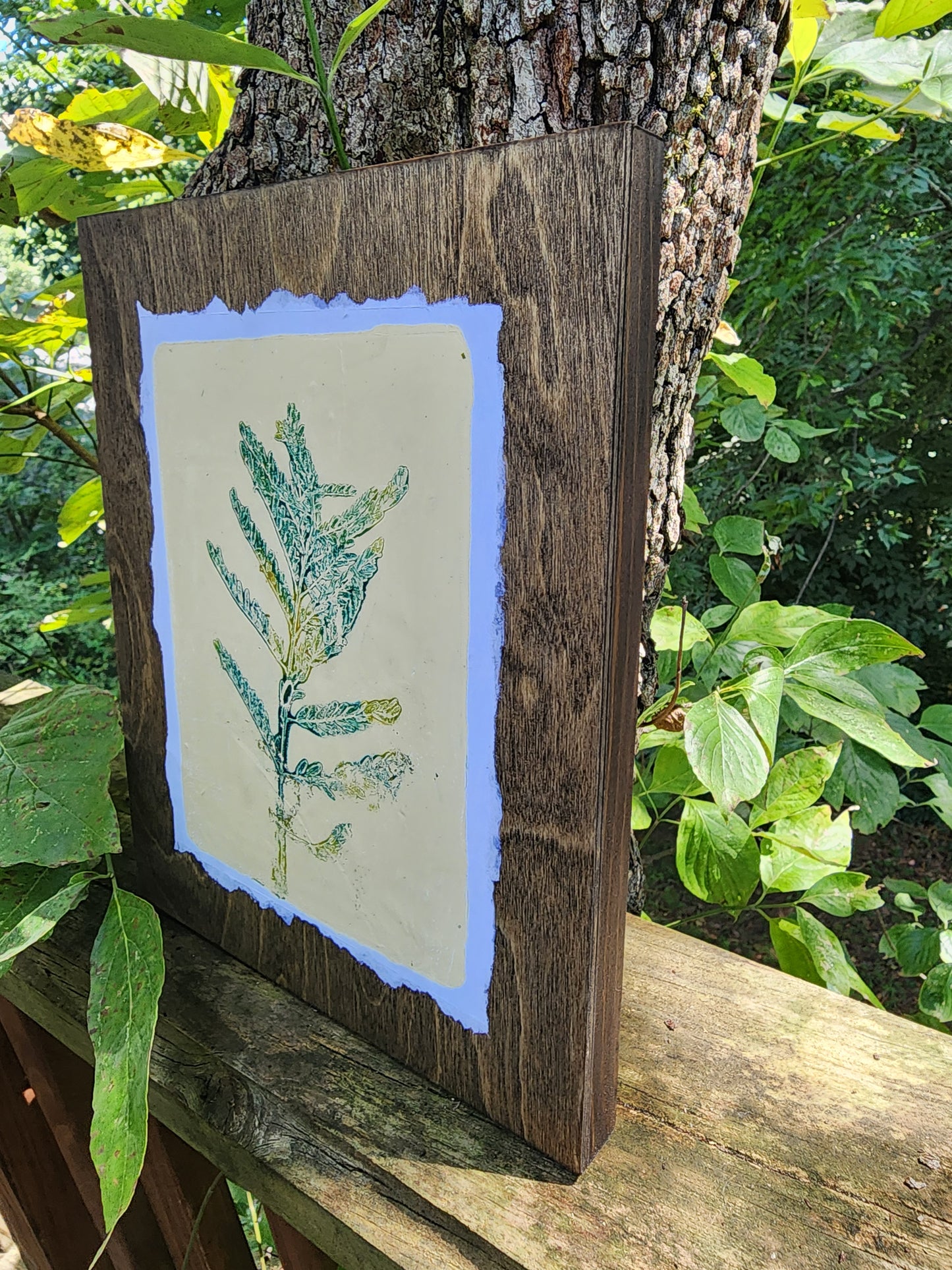 Desert Bird of Paradise II