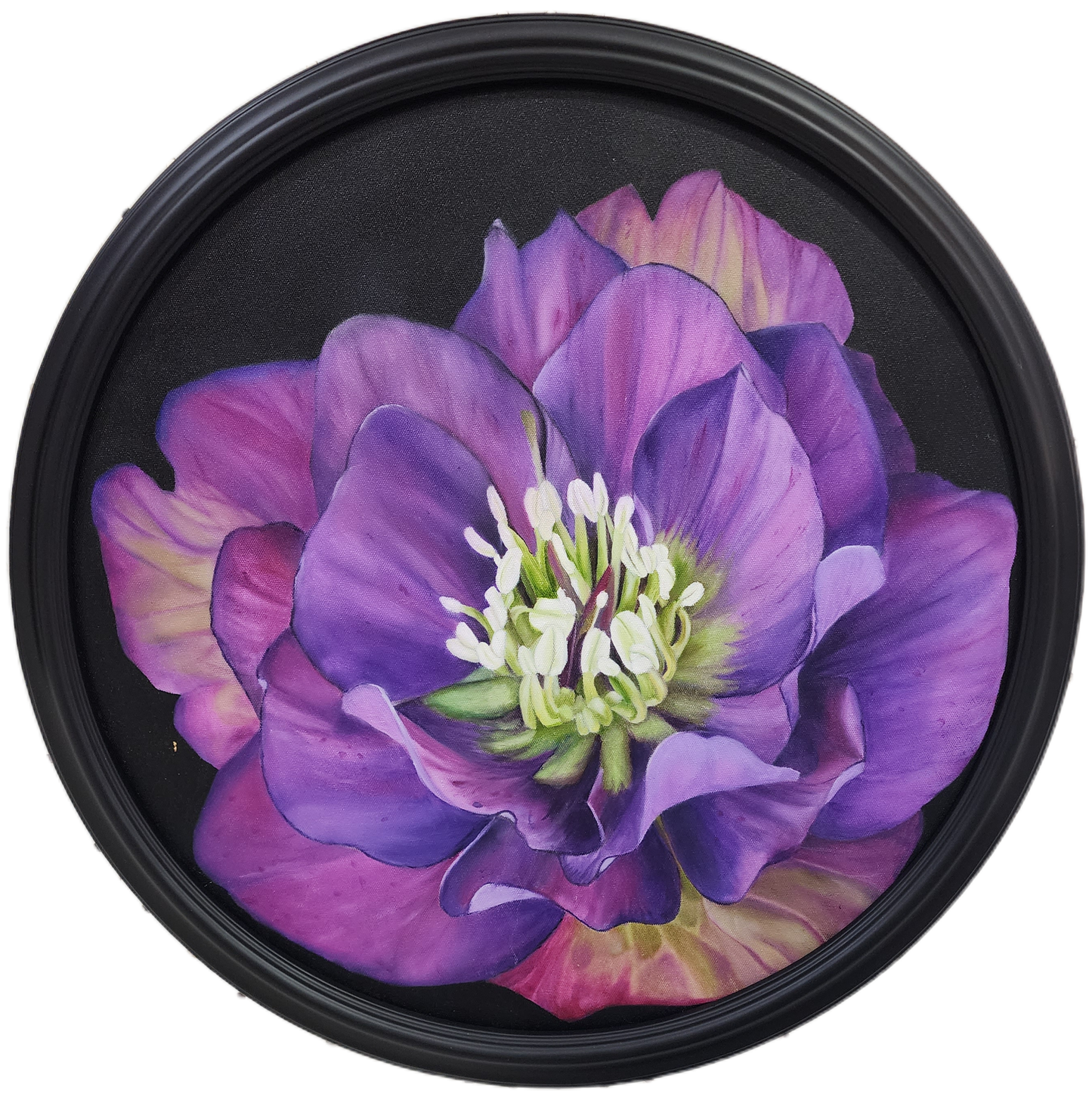 Hellebores North Star
20" Round – Oil on Canvas" round